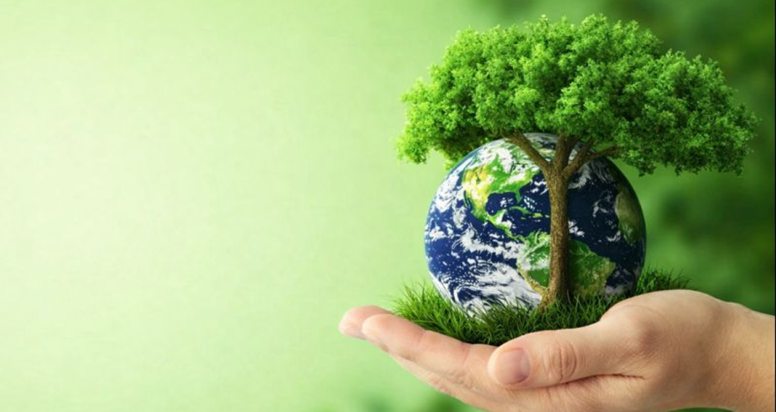 Sustainability Globe